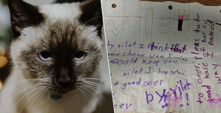 cat-with-note