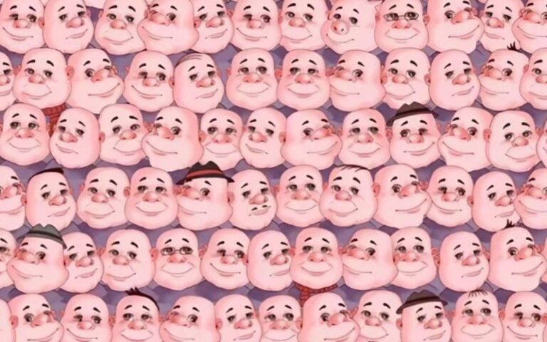 illusion-optique-trouver-le-cochon